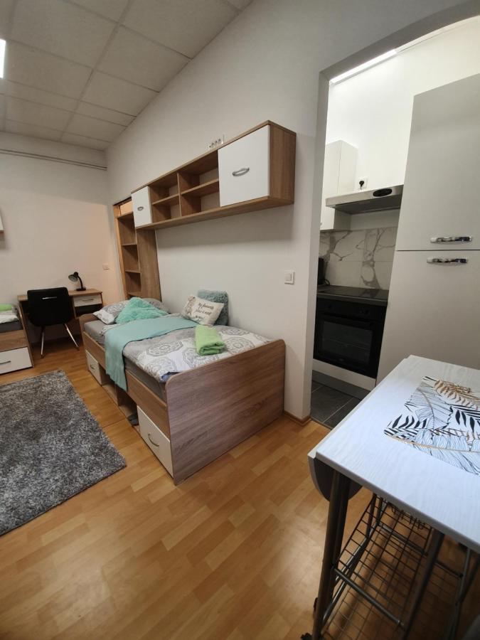 Maribor City Center Minidorm Apartment Dış mekan fotoğraf